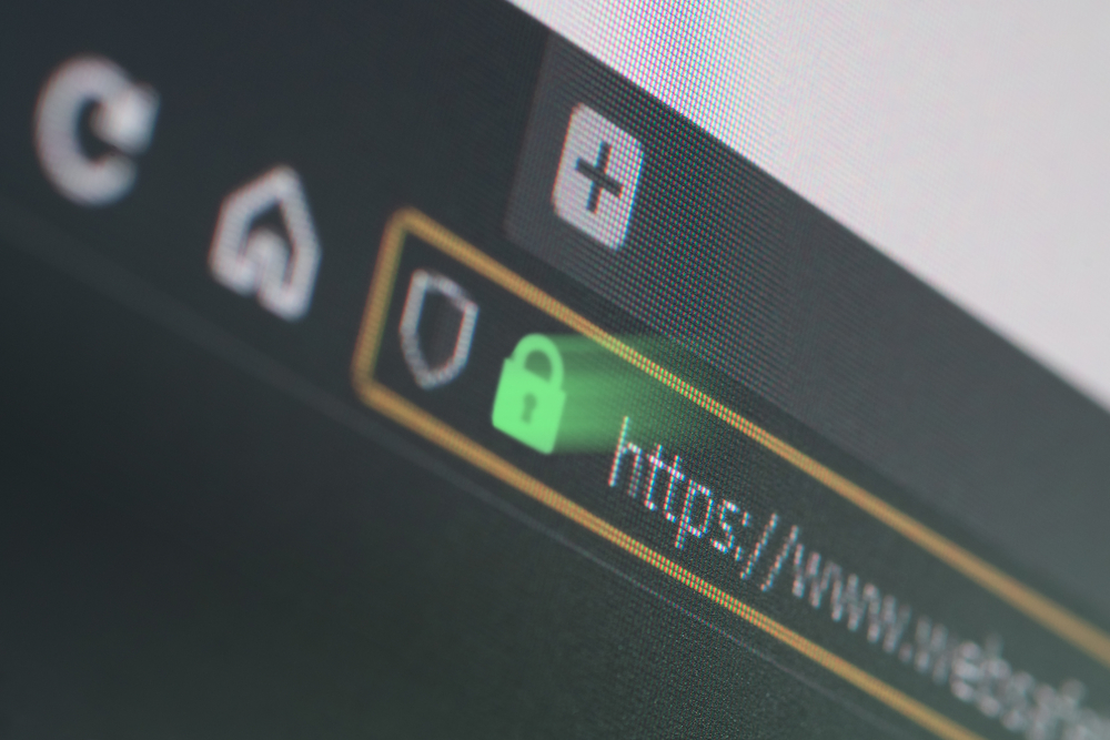 What does the padlock symbol on some websites mean?